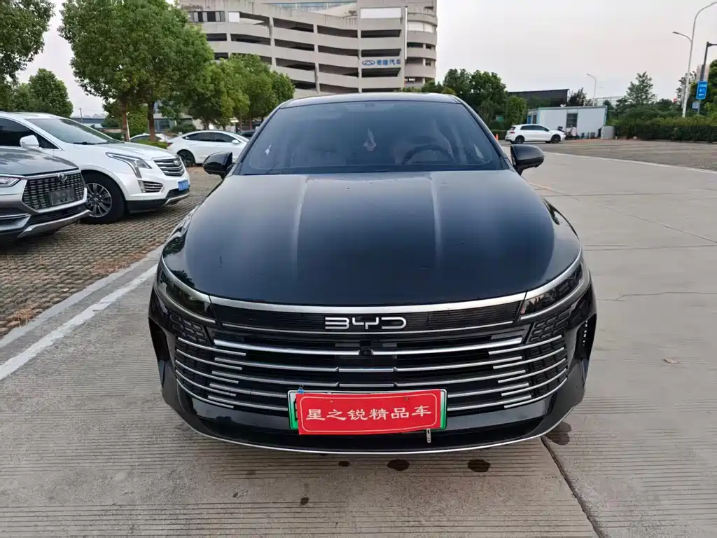 BYD Destroyer 05 2023 — фото 2
