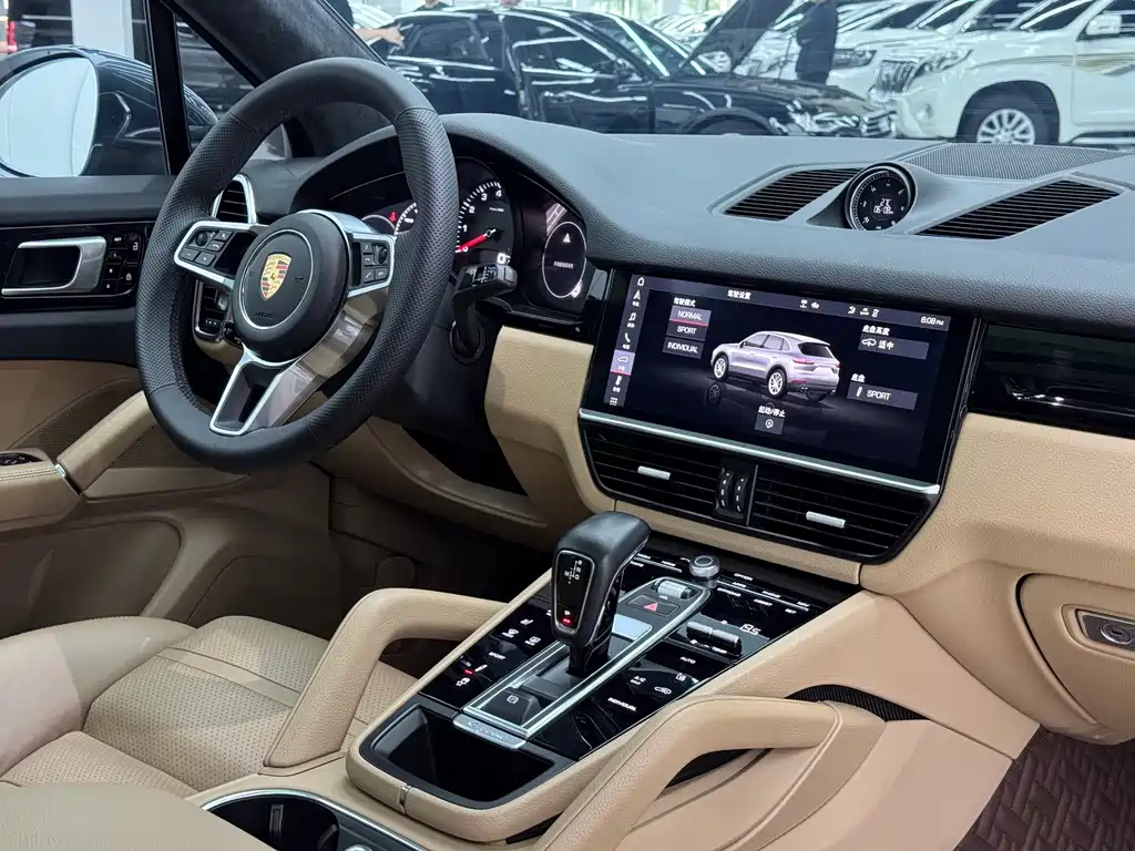 Porsche Cayenne 2020 — фото 19