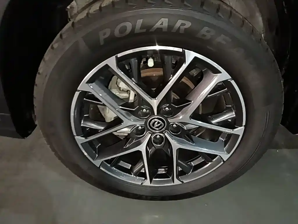 Changan CS75PLUS 2023 — фото 23