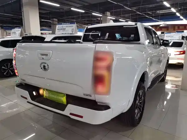 Great Wall Poer 2021