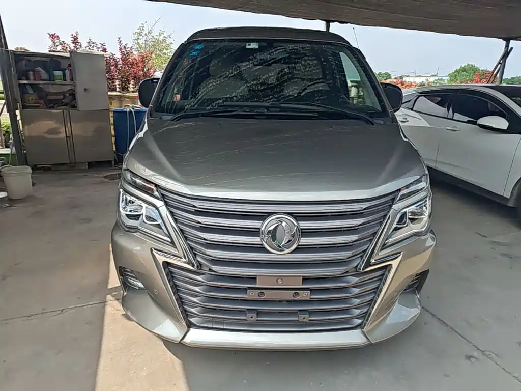 Dongfeng Lingzhi 2020
