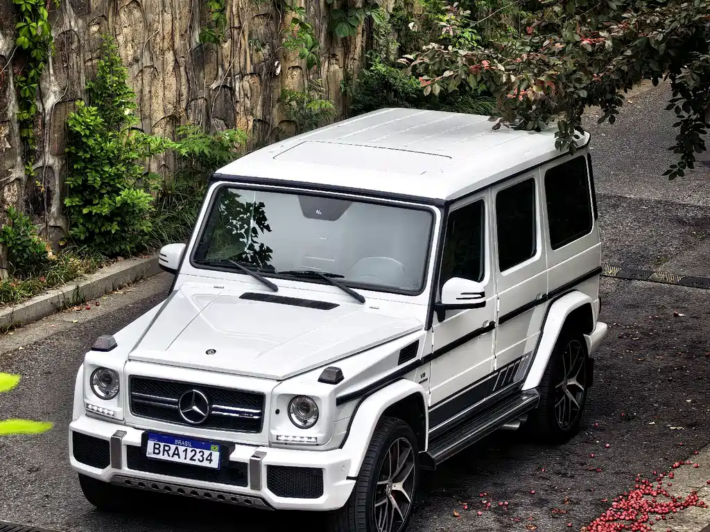 Mercedes-Benz G-Class AMG 2017 — фото 14