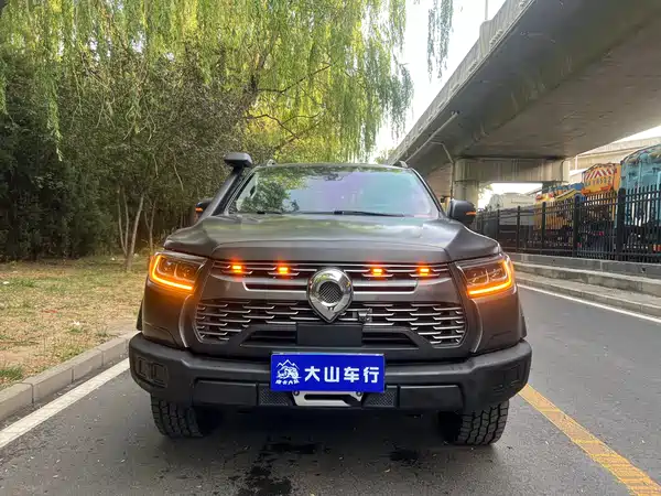 Great Wall Poer 2021