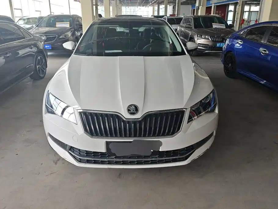 Skoda Speedy 2018