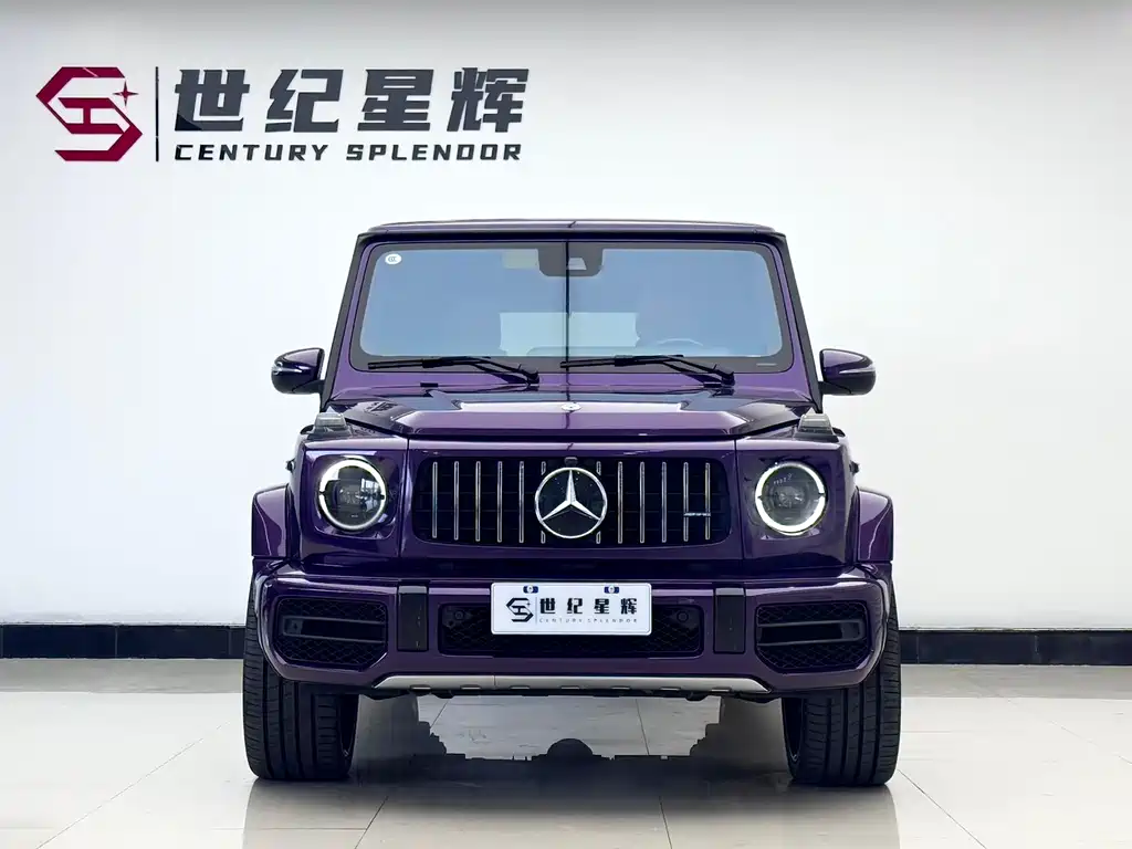Mercedes-Benz G-Class AMG 2019 — фото 3