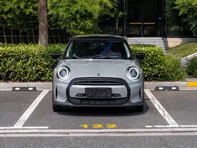 MINI MINI 2022