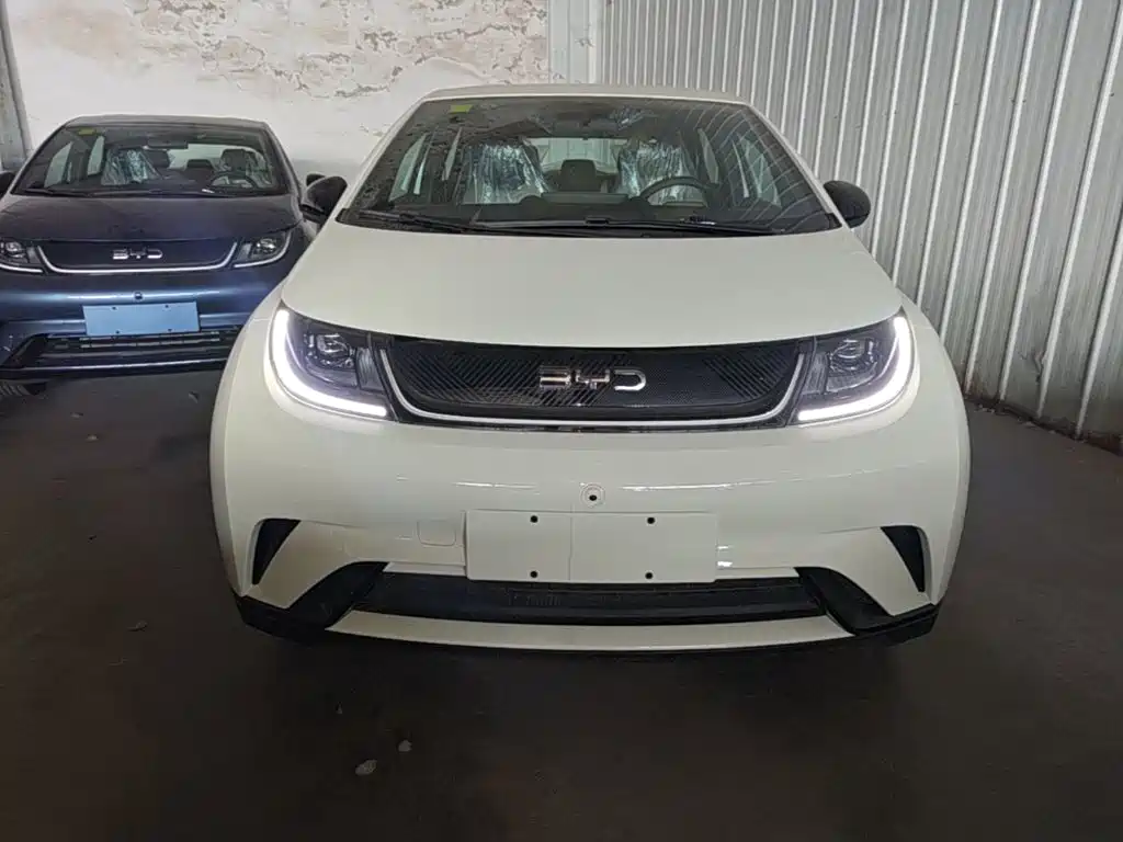BYD Dolphin 2026
