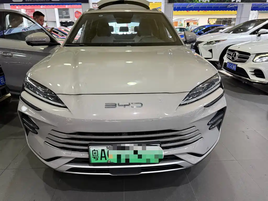 BYD PLUS New Energy 2024 — фото 2