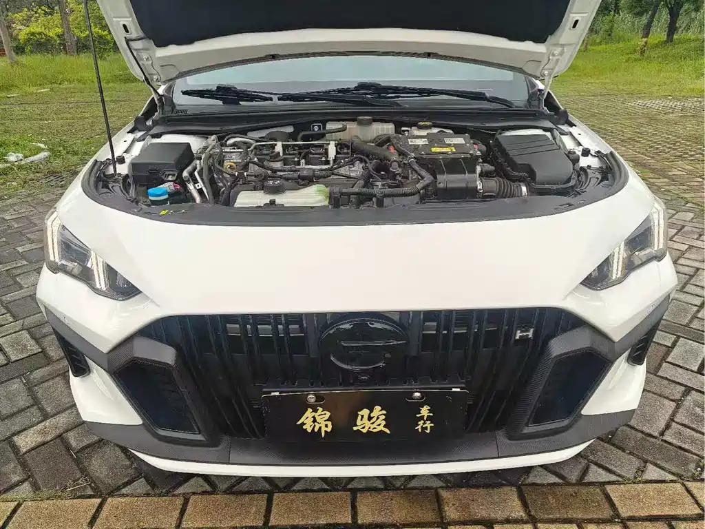 GAC Motor Shadow Leopard 2023 — фото 16