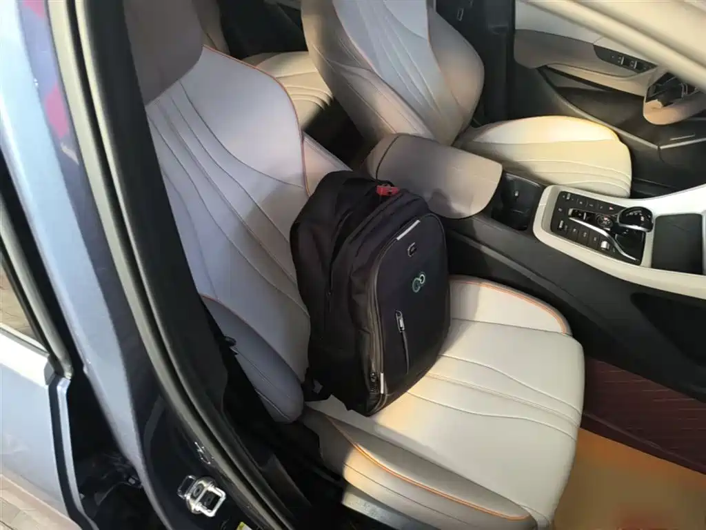 BYD Pro New Energy 2024 — фото 25