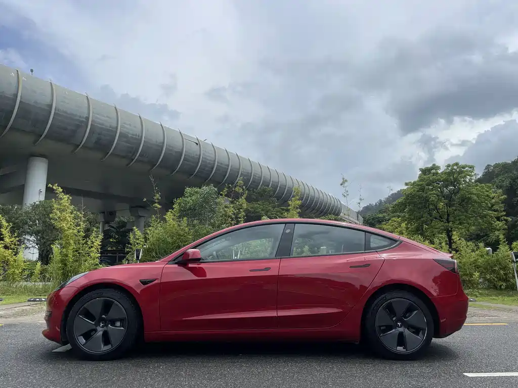 Tesla Model 3 2021