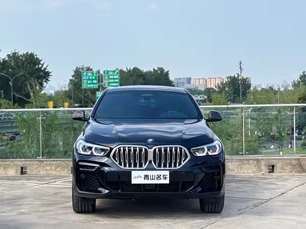 BMW X6 2022