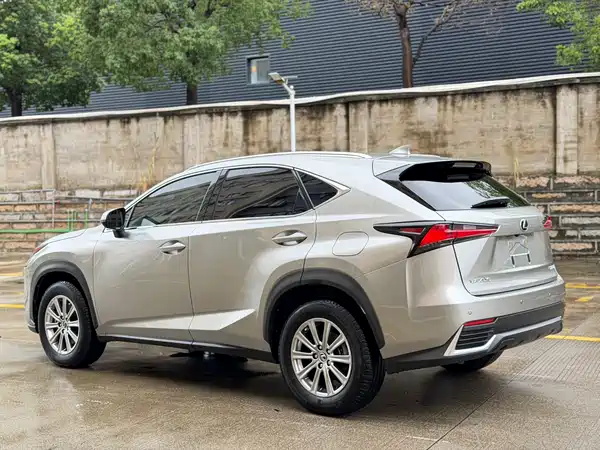 Lexus NX 2021