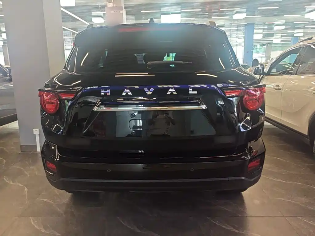 Haval Dargo PLUS 2024 — фото 6