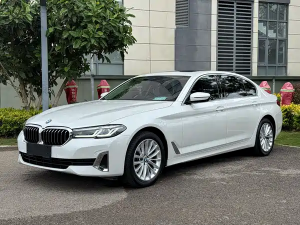 BMW 5 Series 2021