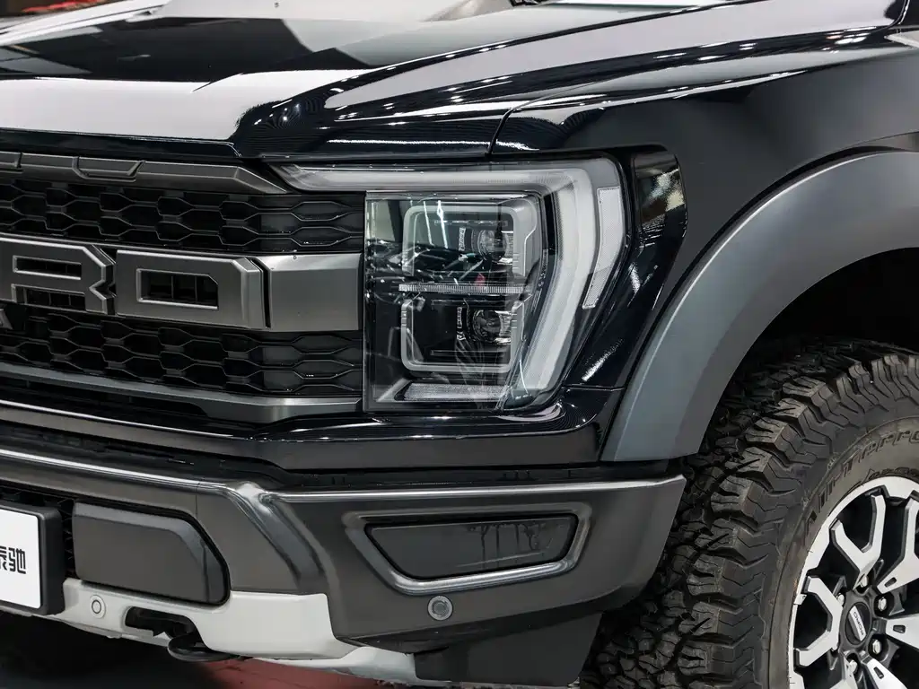 Ford F-150 Raptor — фото 8