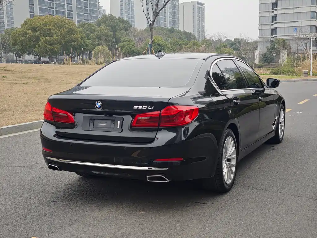 BMW 5 Series 2018 — фото 26