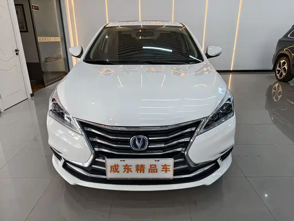 Changan Eado DT 2020 — фото 2