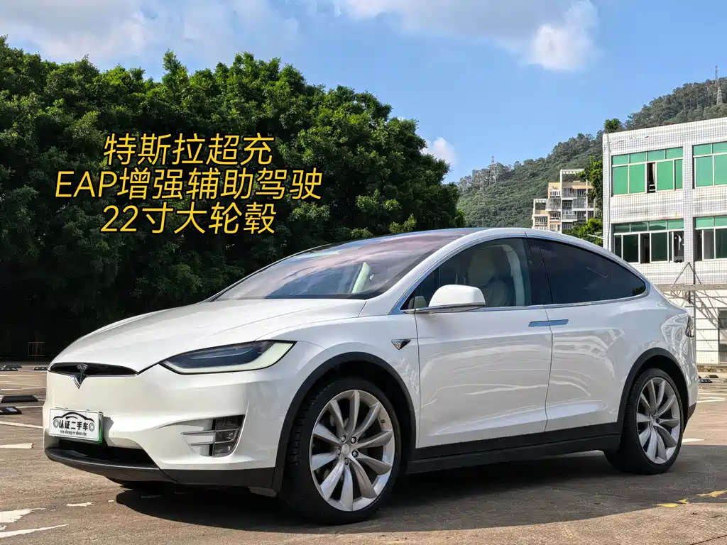 Tesla Model X 2017 — фото 1