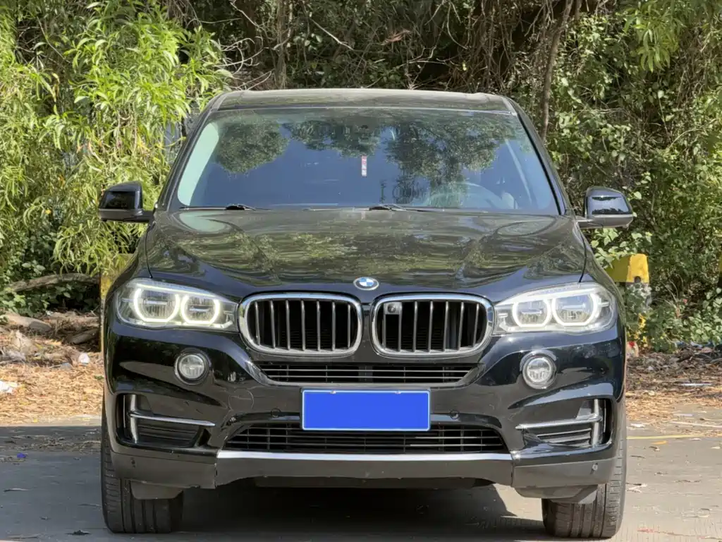 BMW X5 2018 — фото 2