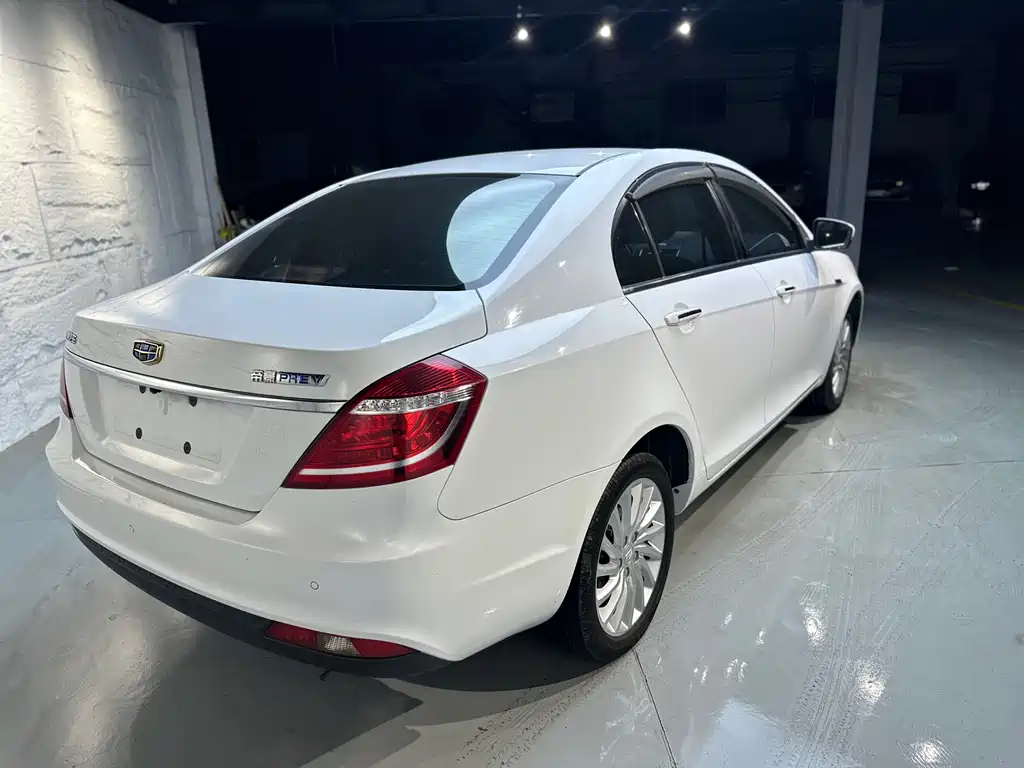 Geely New Energy 2018 — фото 11