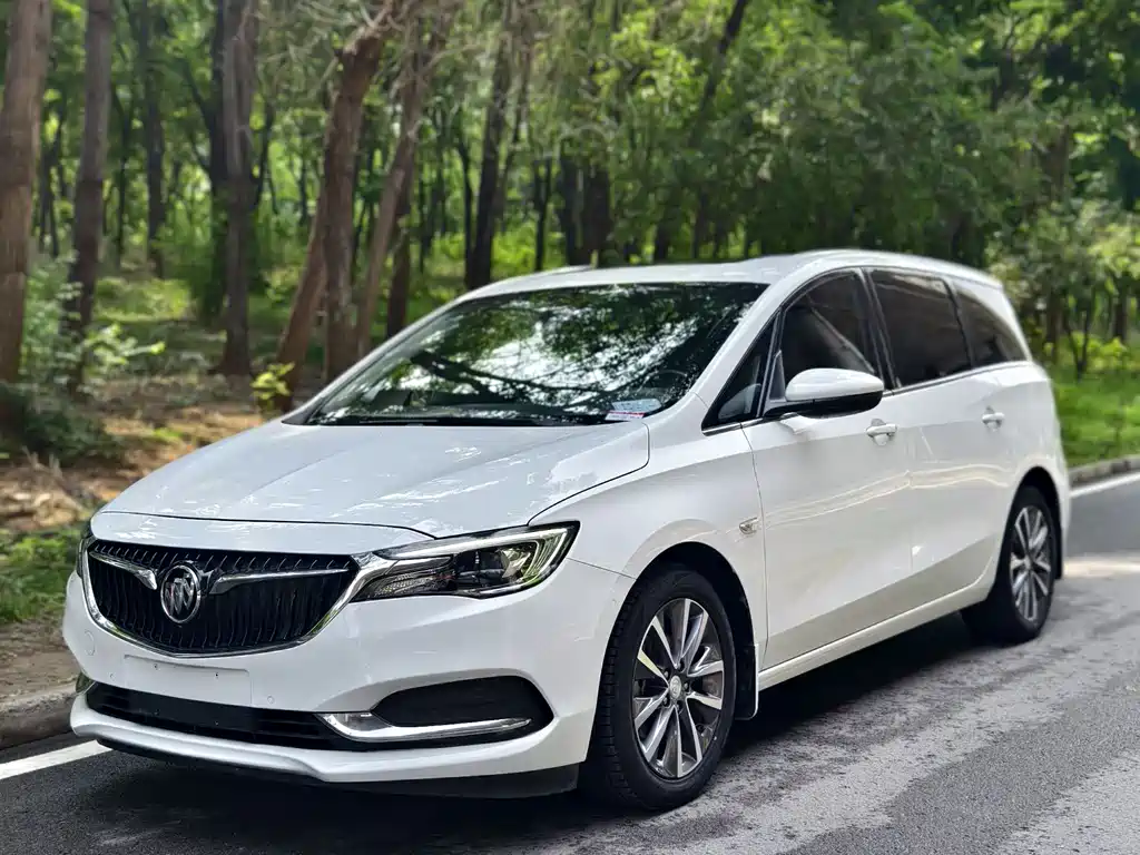 Buick GL6 2019