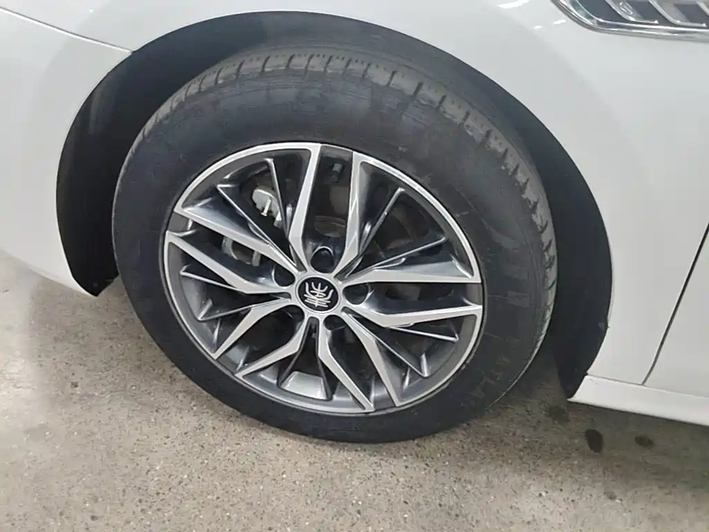 BYD Qin PLUS 2023 — фото 23