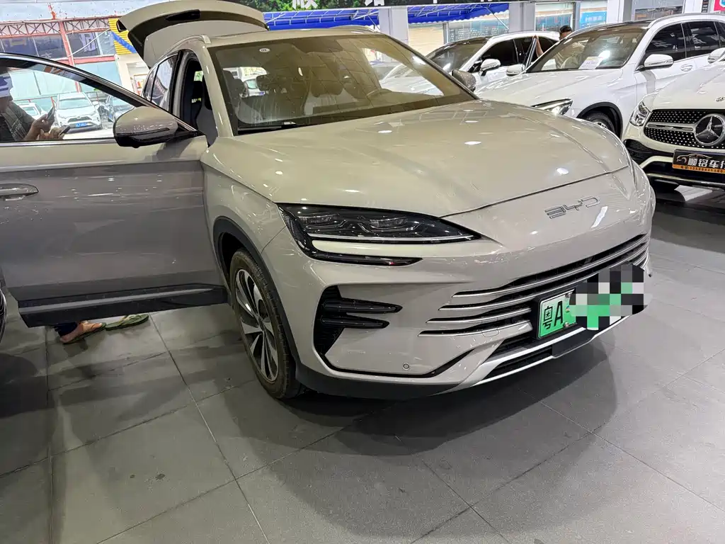 BYD PLUS New Energy 2024 — фото 3