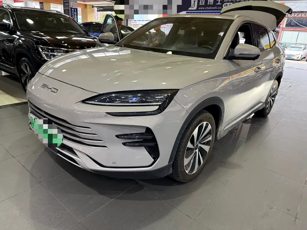 BYD PLUS New Energy 2024
