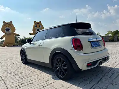 MINI MINI 2021