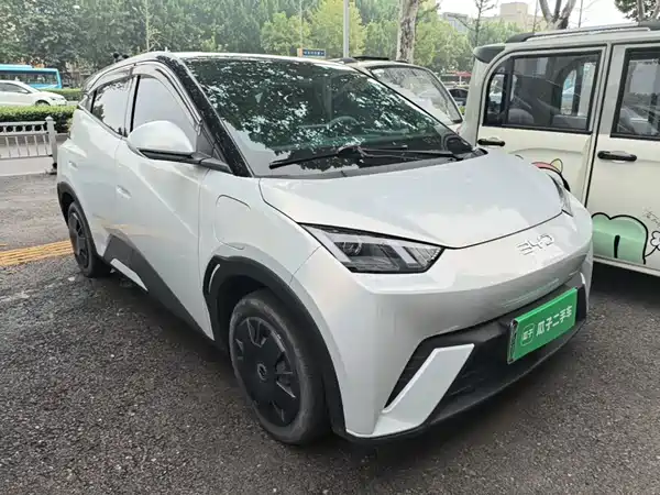 BYD Seagull 2024