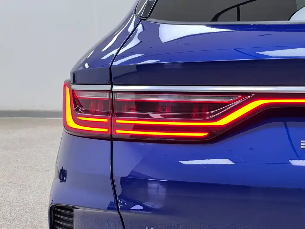 BYD PLUS New Energy 2022 — фото 11