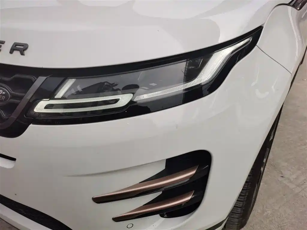 Land Rover Evoque 2020 — фото 23