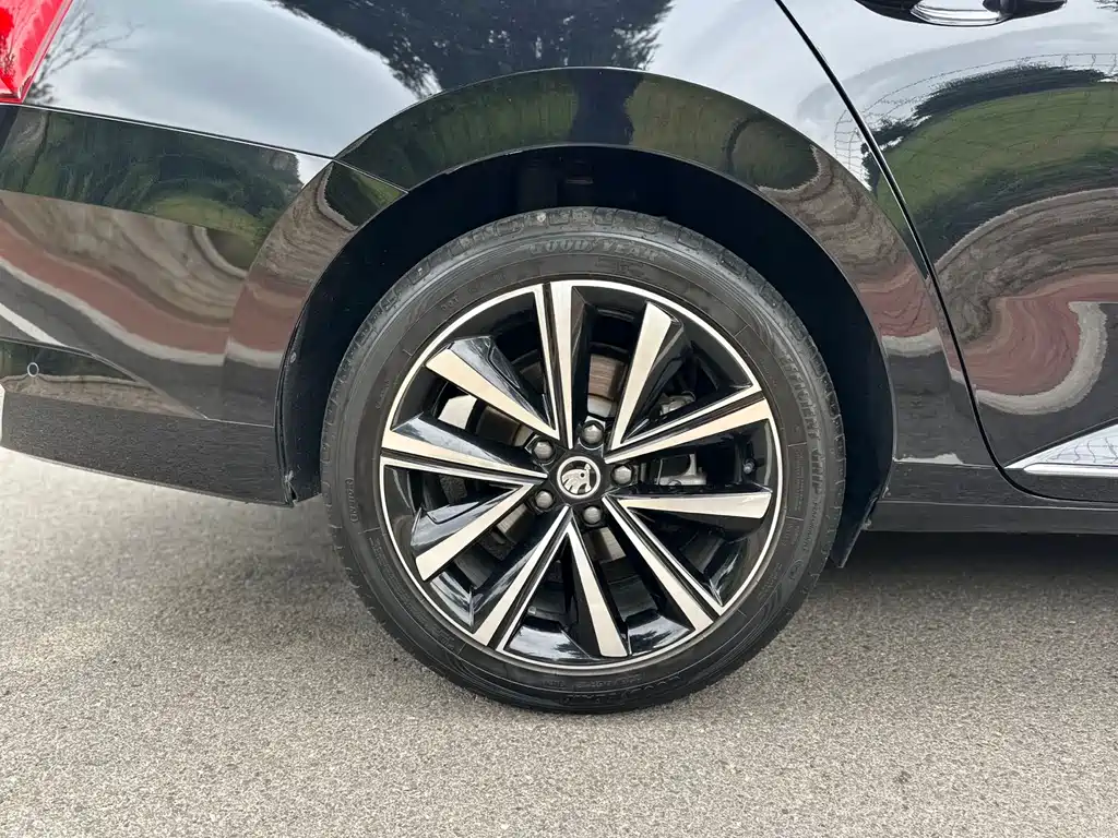 Skoda Speedy 2023 — фото 16