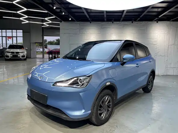 Neta V 2021