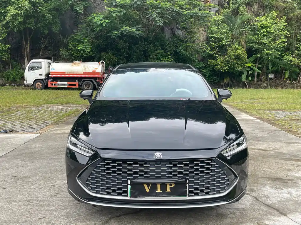 BYD Qin PLUS 2024 — фото 14