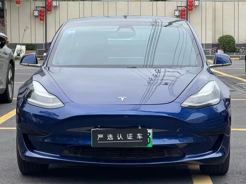 Tesla Model 3 2020 — фото 2
