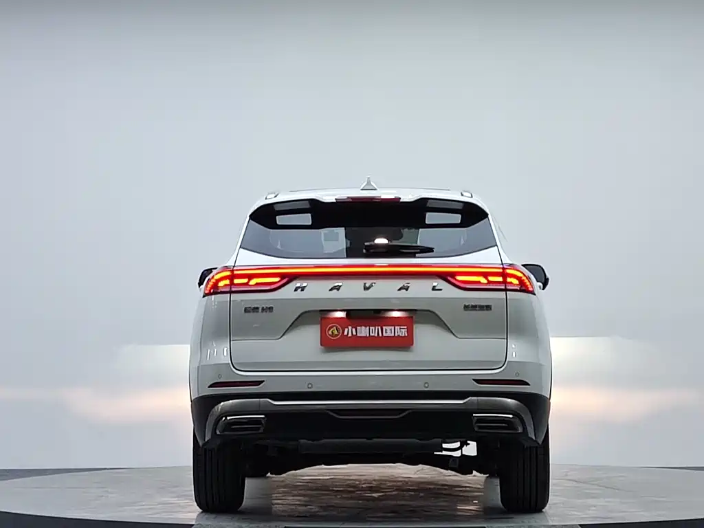 Haval H6 2023 — фото 19