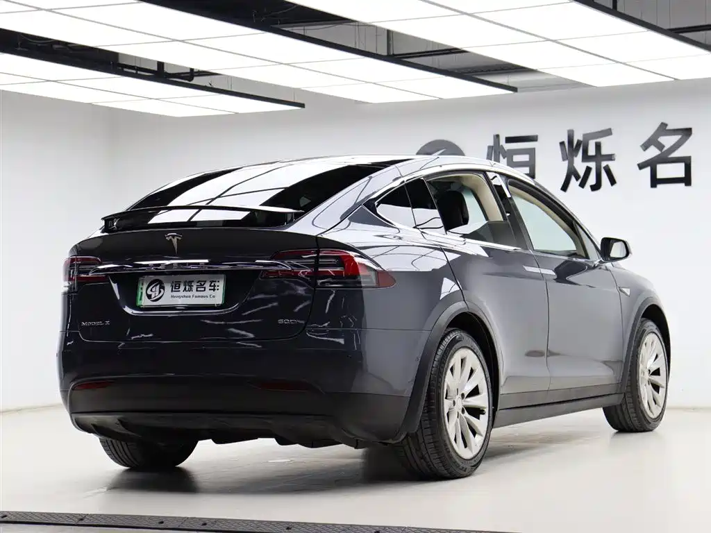 Tesla Model X 2017 — фото 20