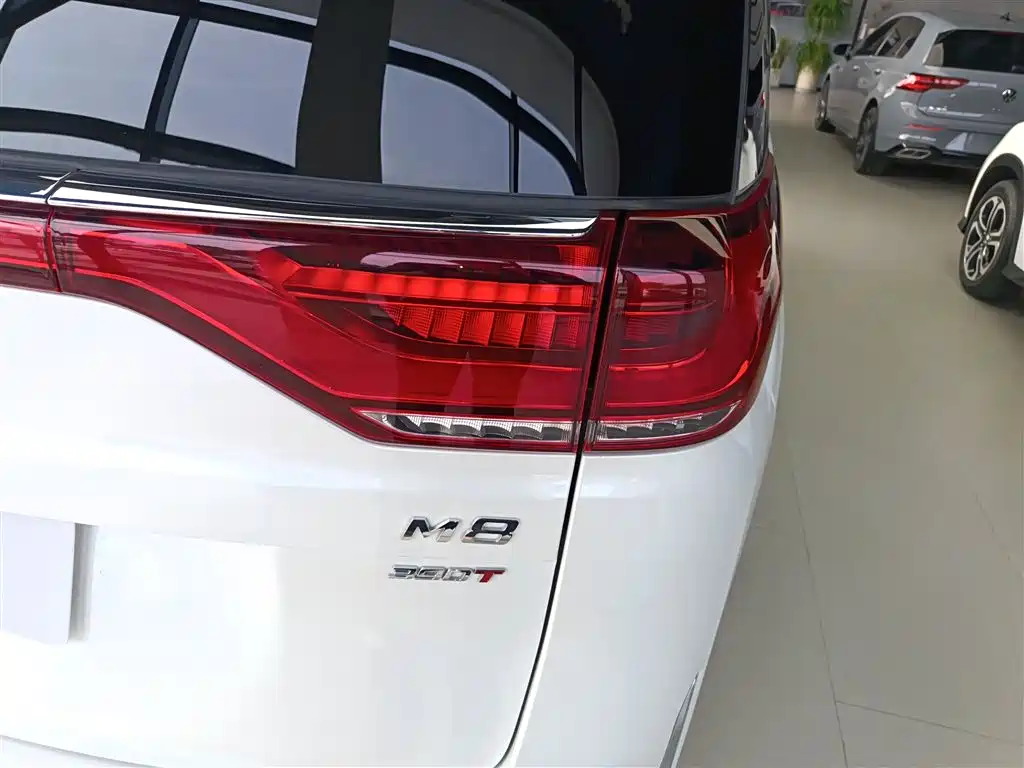 GAC Motor Trumpchi M8 2025 — фото 8