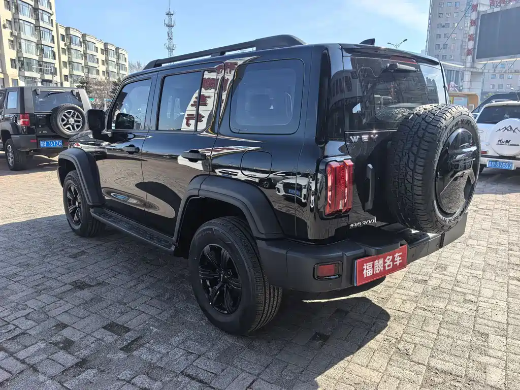 Tank 300 2021