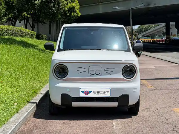 Geely Galaxy Panda 2025