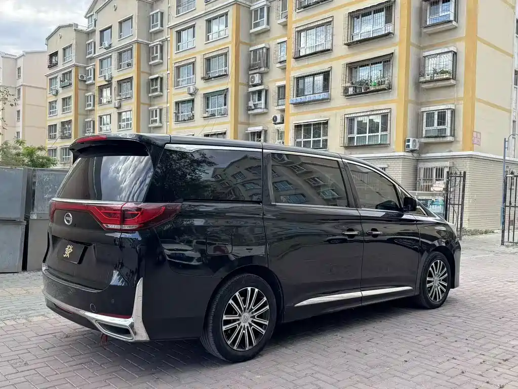 GAC Motor Trumpchi M8 2021 — фото 6