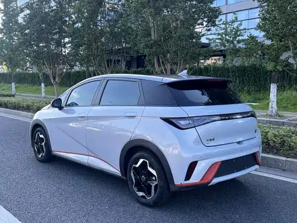 BYD Dolphin 2022