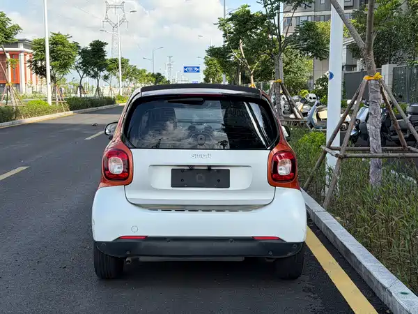 smart fortwo 2018