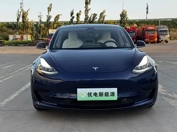Tesla Model 3 2020