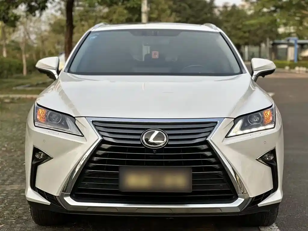 Lexus RX 2018 — фото 12