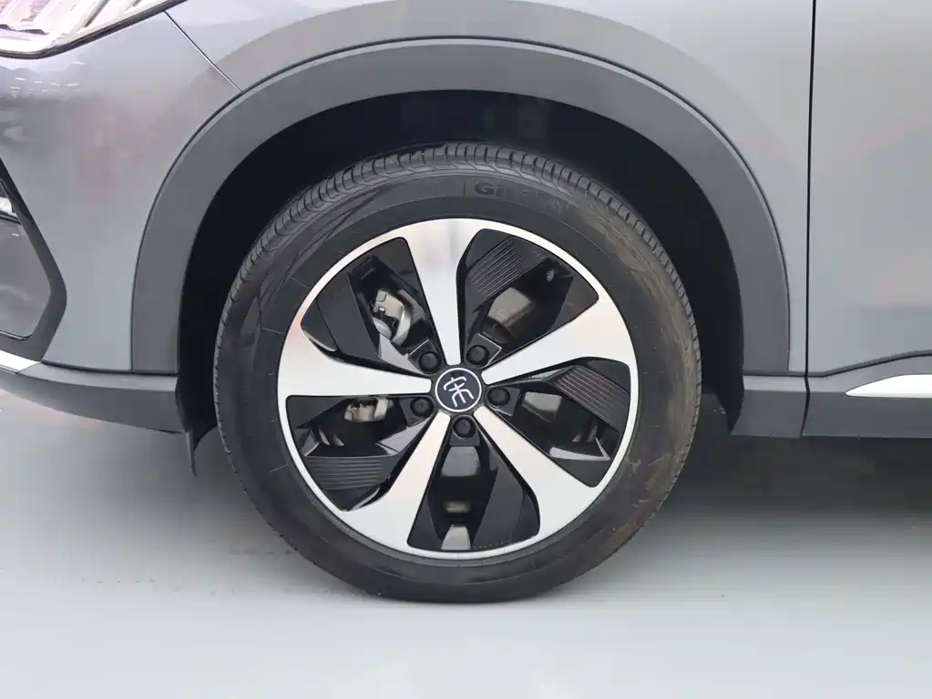 BYD Song PLUS New Energy 2022 — фото 4