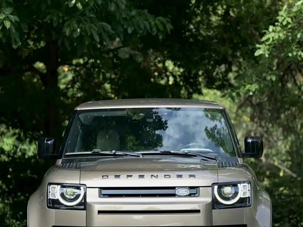 Land Rover Defender 2022 — фото 2