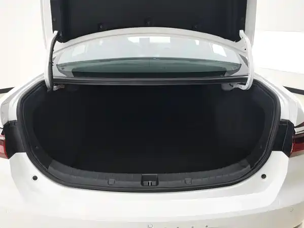 BYD Qin NEV 2020